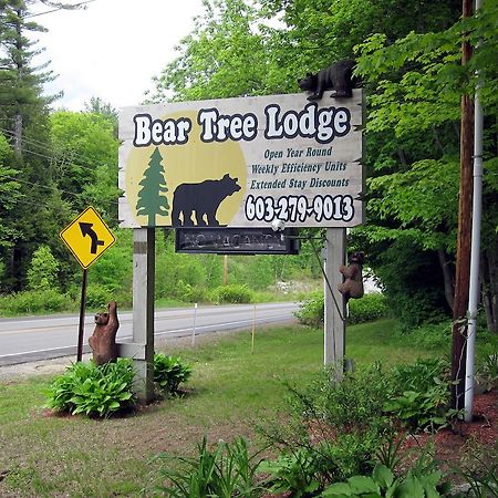 ويرس بيتش Bear Tree Lodge المظهر الخارجي الصورة