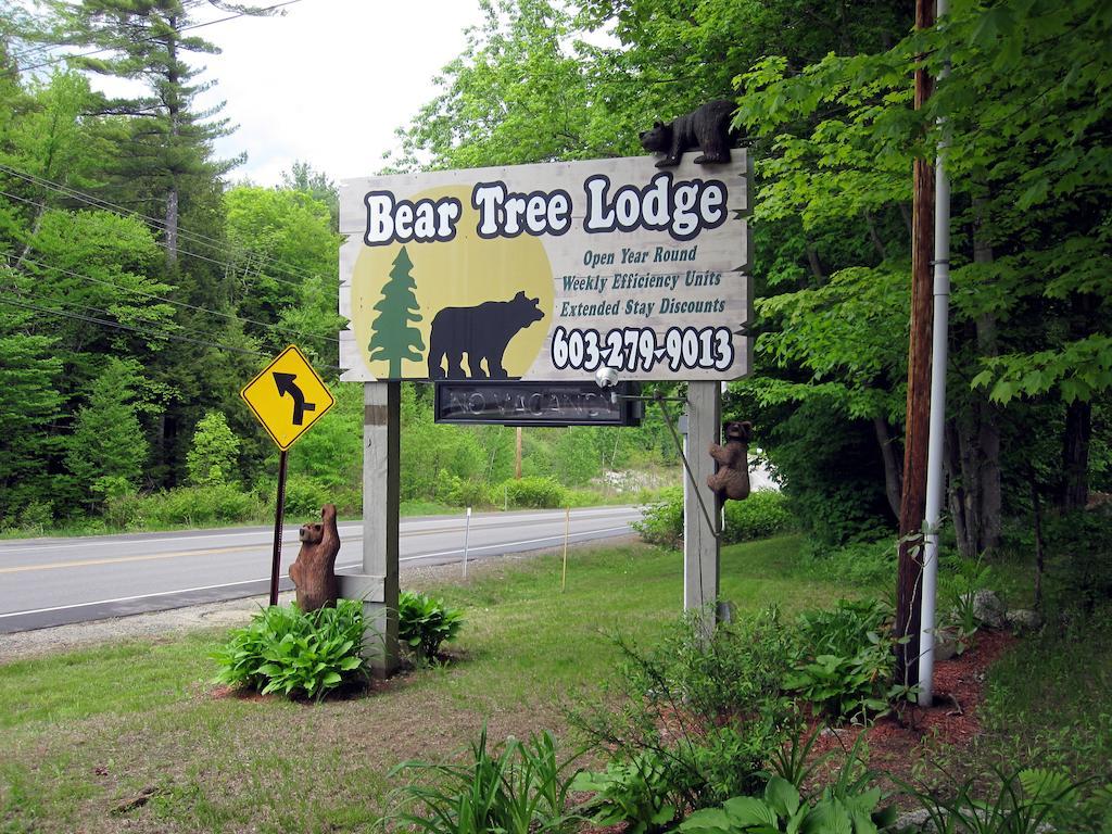 ويرس بيتش Bear Tree Lodge المظهر الخارجي الصورة